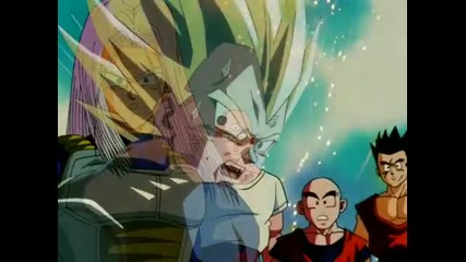 Dbz - In The End