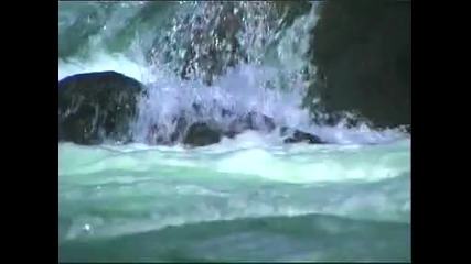 Endless Emotion - Rainforest Over 1, 761071 Viewings Ken Davis International Composer Of Music 