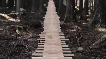 Яка музика , сътворена от дървени плочки