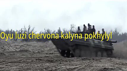 Ukrainian Folk Song - army Remix oy u luzi chervona kalyna