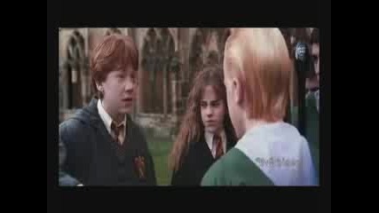 Ron adn Hermione - A whole new world