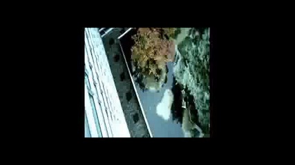 Schiller - Ruhe 