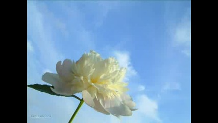 Yanni - Never too late.