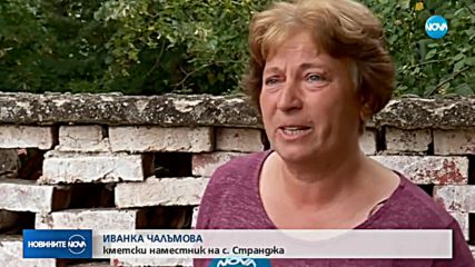 БОЙКОТ В СТРАНДЖА: Не пуснаха лекари да проверят едно от стадата