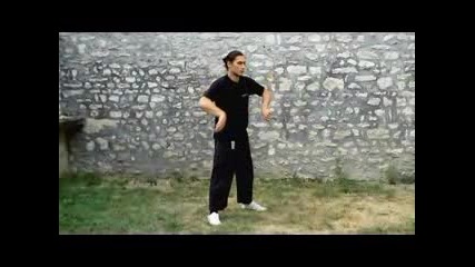 Freestyle Arts