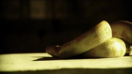 Lost Soul - If The Dead Can Speak [hq]