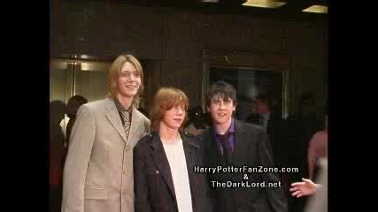 Harry Potter Catcollins Nyc - Part Two