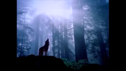 M.i.k.e. - The Running Night
