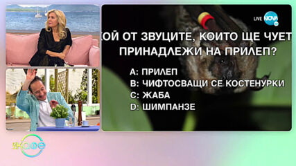 Пещерните биолози Тони и Ния с предизвикателство - "На кафе" (13.11.2020)