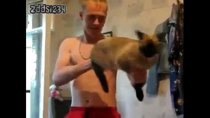 Котка калашник! Смях
