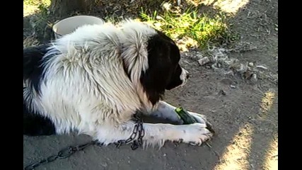 Глад И Криза