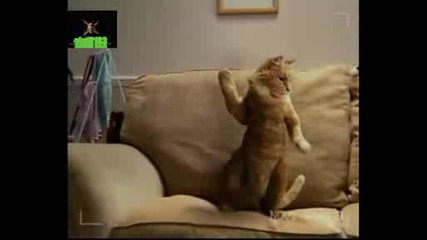 Stamps Funny Commercial.