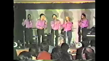 Mixed Company - Land Of 1000 Dances 