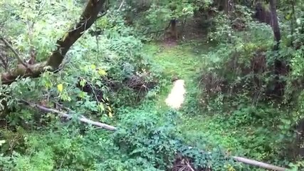 rabbit kill with my crossbow