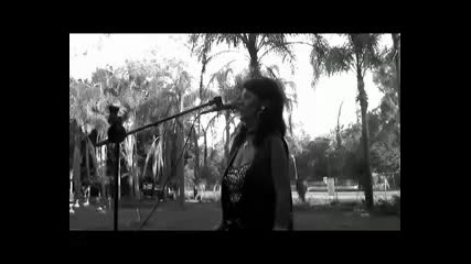 Born To Be Wild - Harley Davidson - Margo Bernard 