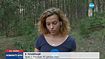 Пожарът край Росоман, който бе локализиран, отново се разгоря