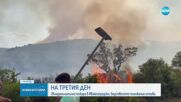 Пожарът в Ивайловградско е напълно овладян