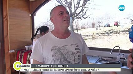 От мандрата до щанда: Колко струва киселото мляко и можем ли да го приготвим вкъщи