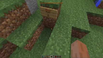 Hollyweed minecraft Tutorial - Chest Shop