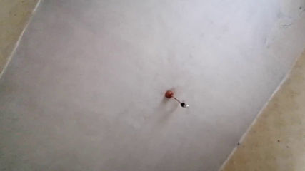 Vid_20200531_085649