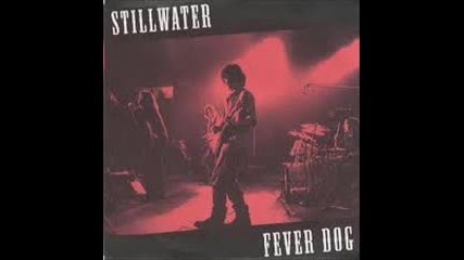 Stillwater-fever Dog
