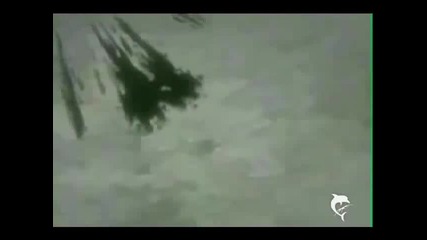 sasuke - sakura.love 