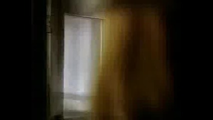Very Good Commercials - Bud Light Dog