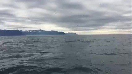 Мъж насред океана снима видео, но не знае какво го чака...