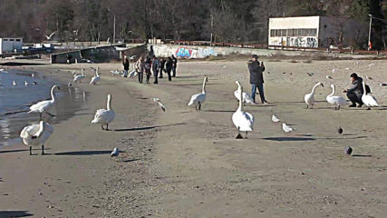 Varna - Black Sea Coast today 017