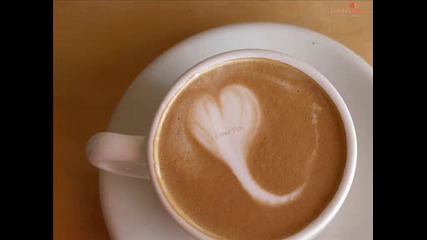 N.o.h.a. - Tu Cafe