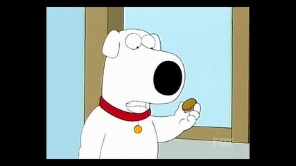 Family Guy Season 5 Episode 14