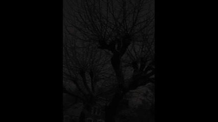 Scot Project - O (Overdrive)