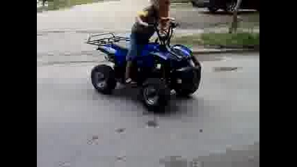 svetoslav atv