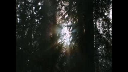 Amorphis - Silent Waters