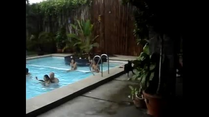 Куче бута хора в басейна