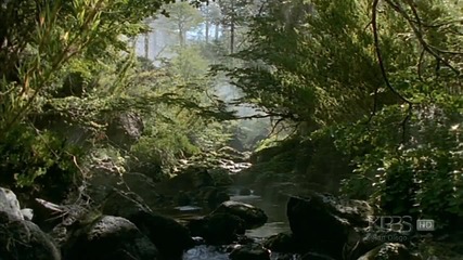 Wonderful Chill Out Music - Tribute To Nature