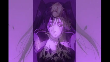 D Gray man