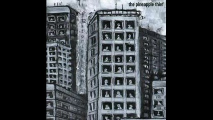 Pineapple thief - Sunday 8th August 2004
