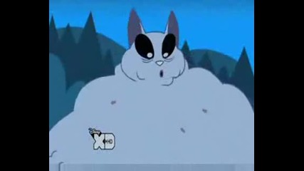 Kat 