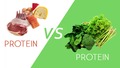 Muscle Damage - Разлика между животински и растителен протеин