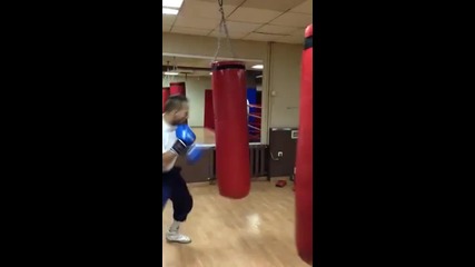 li4o boxing
