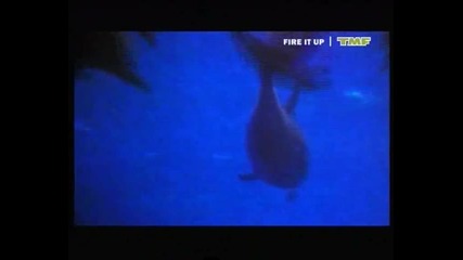 Atlantic Ocean - Waterfall (1993) (3.17min) 