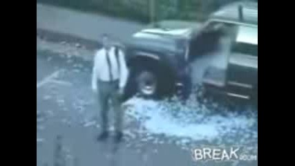 3000 Golf Balls Qko