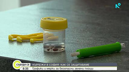 Кърлежите в парковете: Опасност и превенция