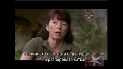! Първите художници Преди 17 000 Години - 4