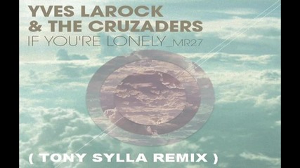 Yves Larock And The Cruzaders - If You're Lonely ( Tony Sylla Remix ) [high quality]