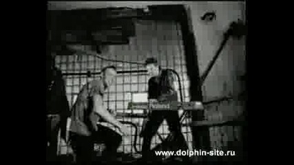 Дельфин И Спирали - Цель