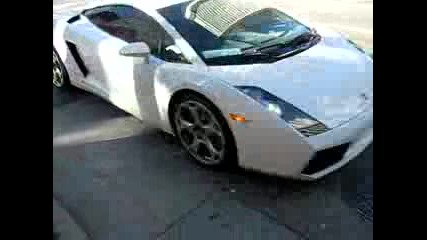 White Lamborghini Gallardo 
