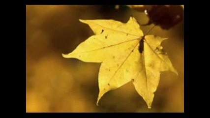 Emma - Nu Vreau Decat Nimic(all I Want Is