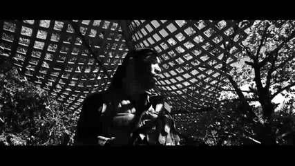 * New 2011 * Don Omar ft. Syko - Huerfano de Amor ( Oficial video ) 
